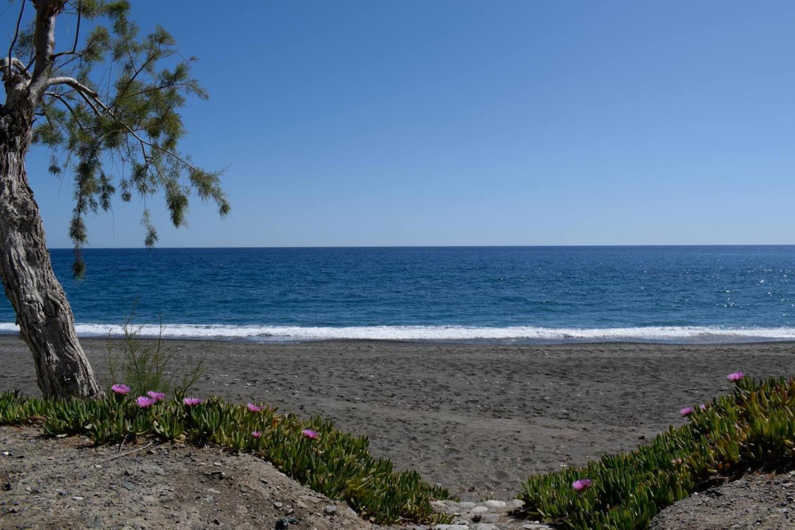 Soso'S Apartments -Vacations Next To The Beach Psari Forada Buitenkant foto